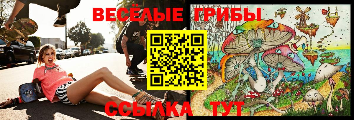 Галлюциногенные грибы ЛСД  Псилоцибиновые грибы Psilocybe  Вход с VPN  Минеральные Воды 