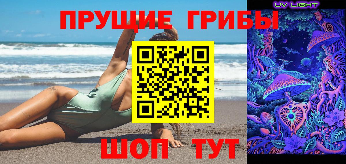 Псилоцибиновые грибы прущие грибы Минеральные Воды