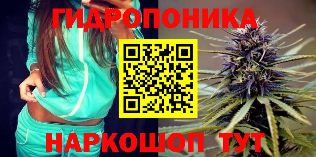 Каннабис сатива  Каннабис VHQ  Вход с VPN  Бошки марихуана White Widow  Минеральные Воды 